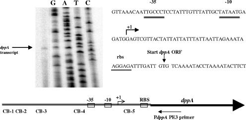 FIG. 2.