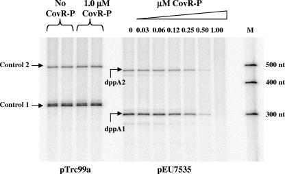 FIG. 8.