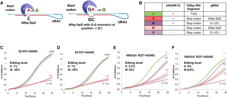 Figure 4