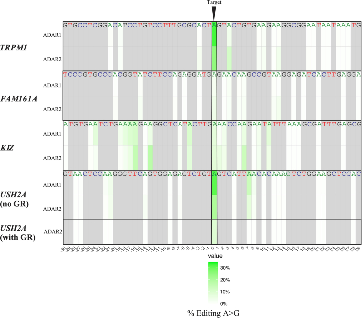 Figure 7