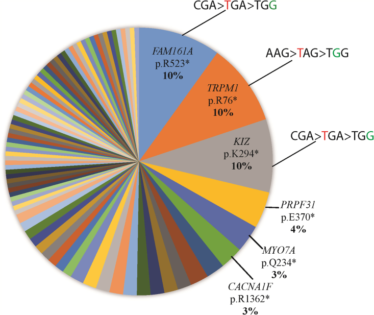 Figure 1