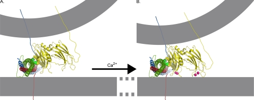 Figure 11.