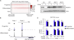 Figure 5