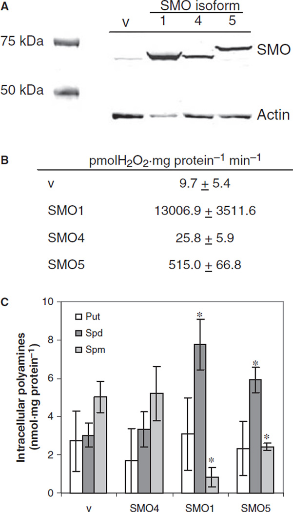 Fig. 4