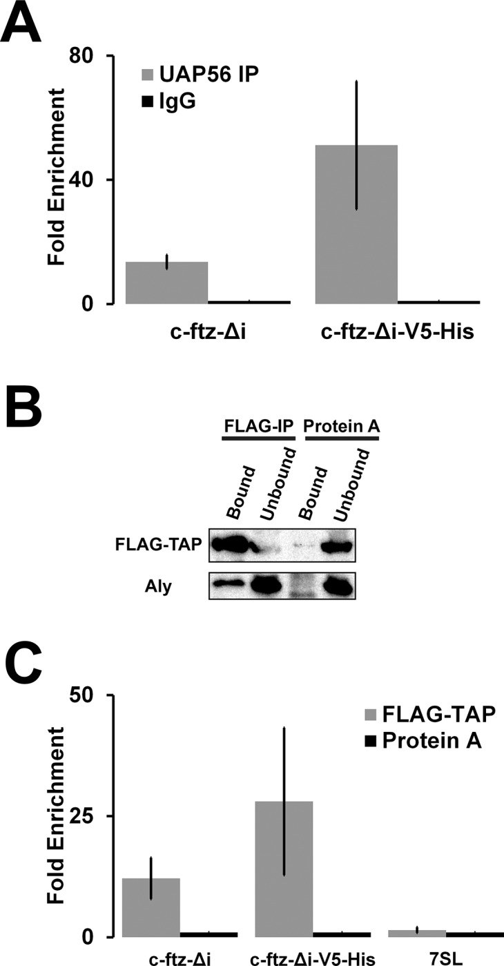 Fig 5