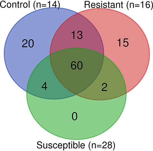 FIG 2