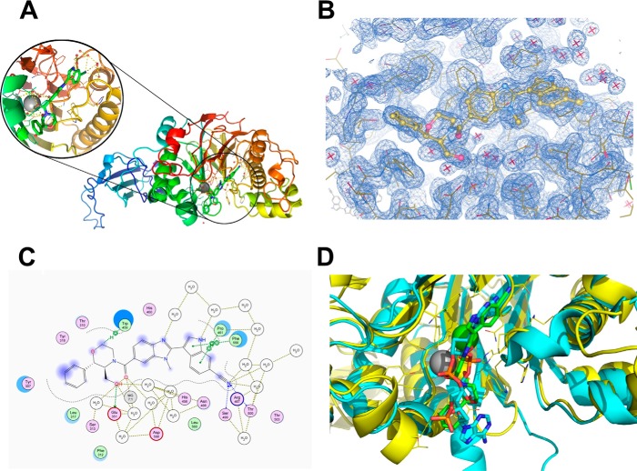 FIGURE 5.