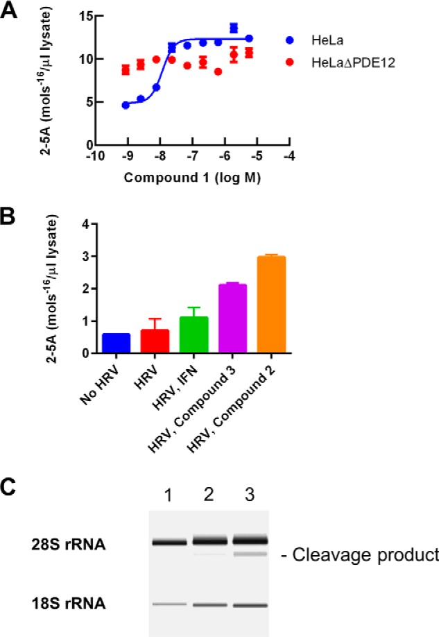 FIGURE 7.