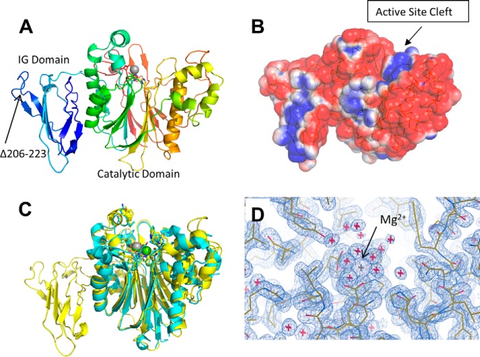 FIGURE 3.