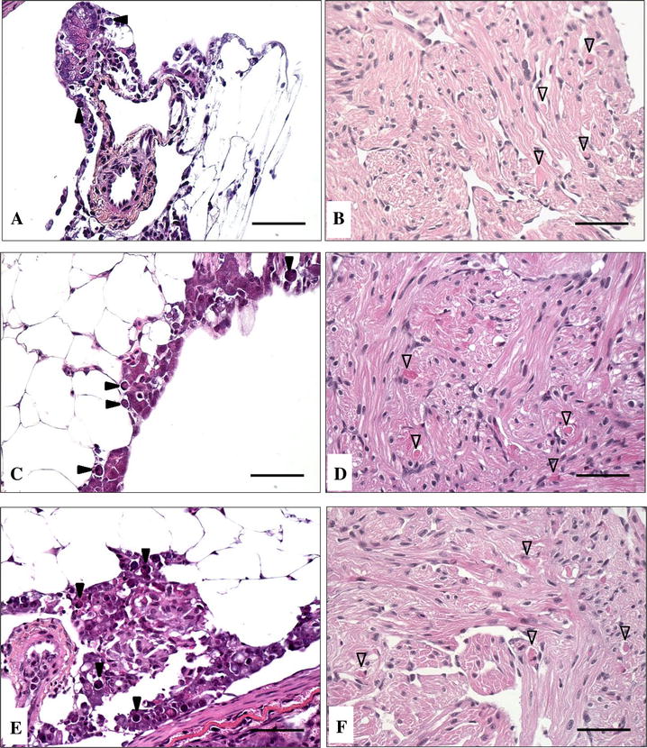 Figure 5