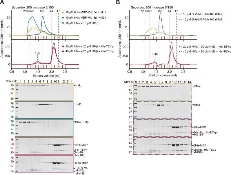 Figure 6—figure supplement 2.