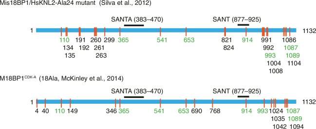 Figure 1—figure supplement 1.