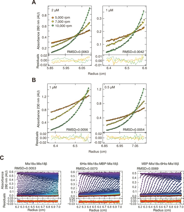 Figure 5—figure supplement 1.