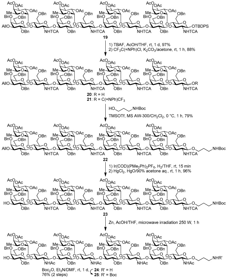 Scheme 4