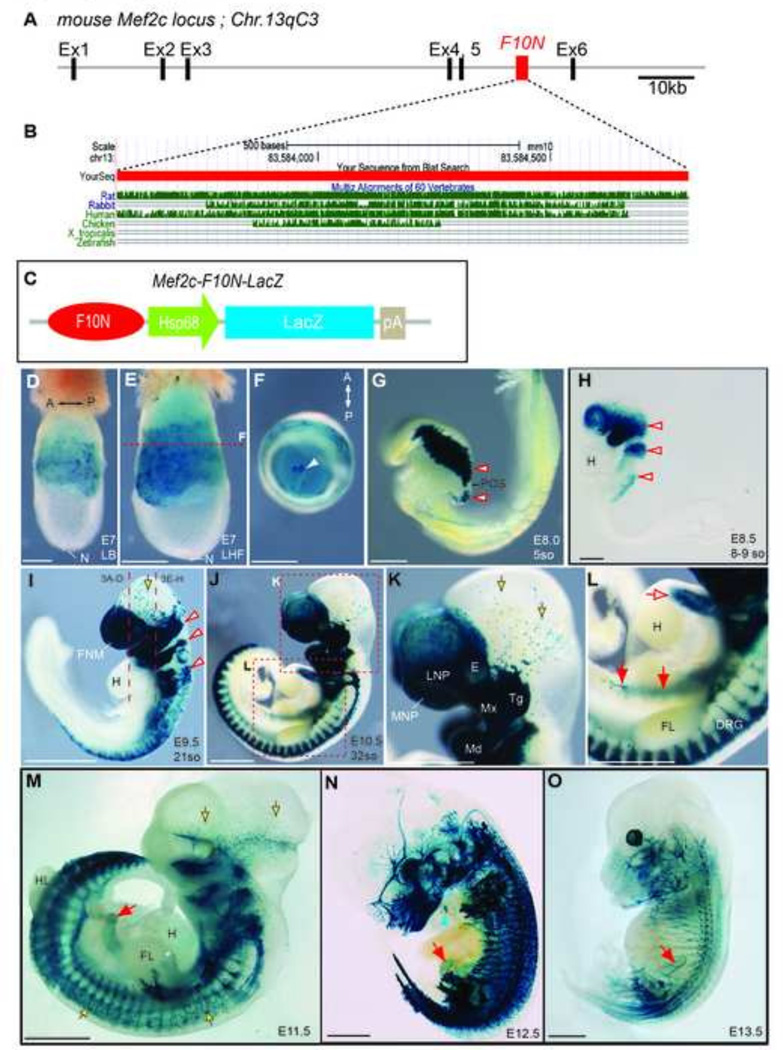 Fig.1