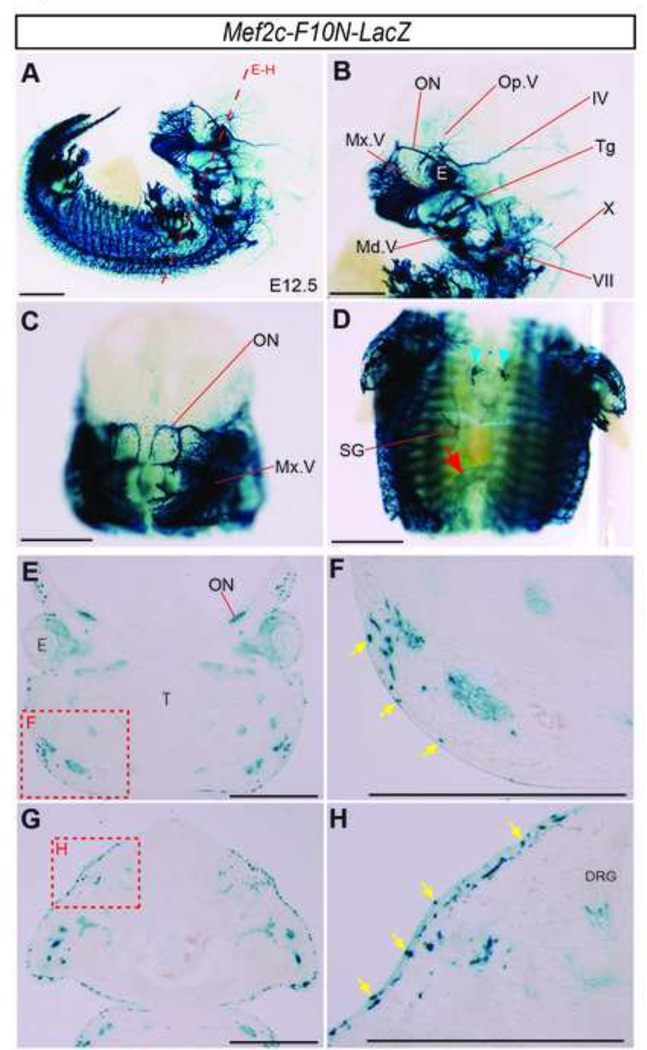 Fig.2