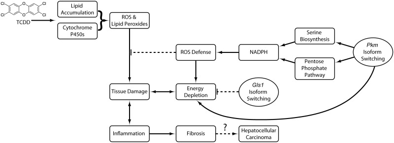 FIG. 8.