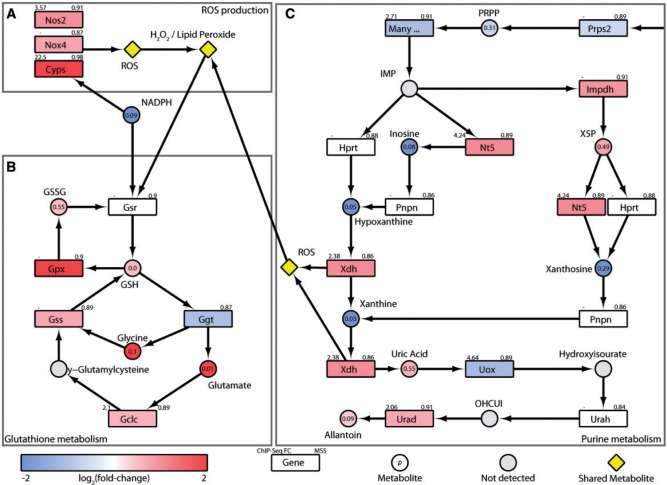 FIG. 2.