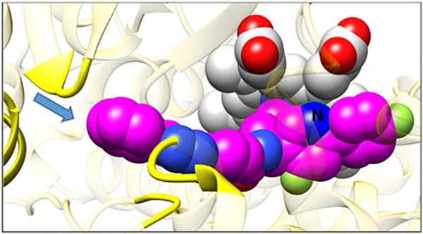 Figure 5.