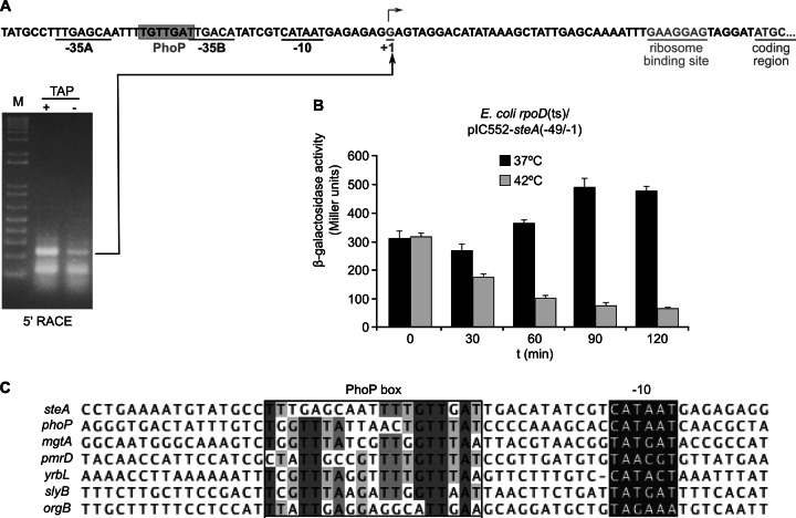 Fig 4