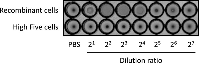 Fig. 7