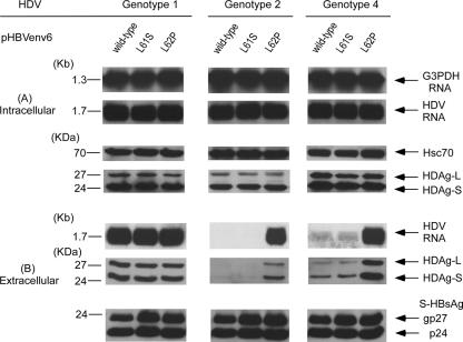 FIG. 8.