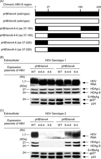 FIG. 7.