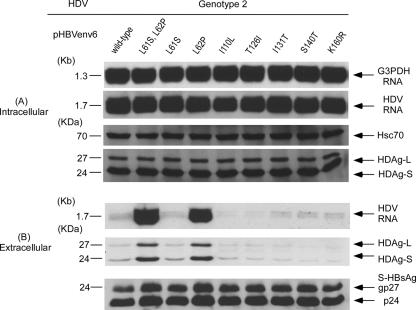 FIG. 9.