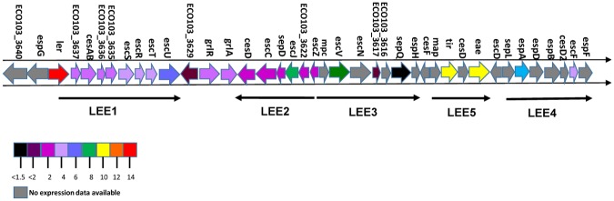 Fig 2