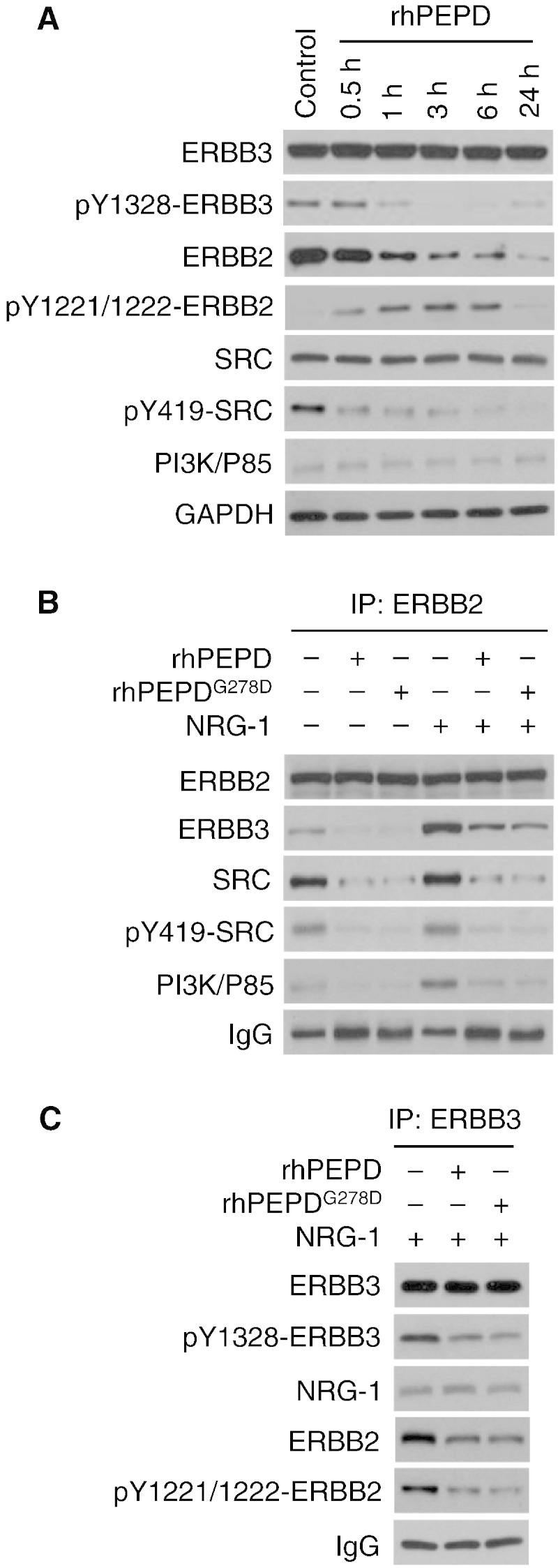 Fig. 5