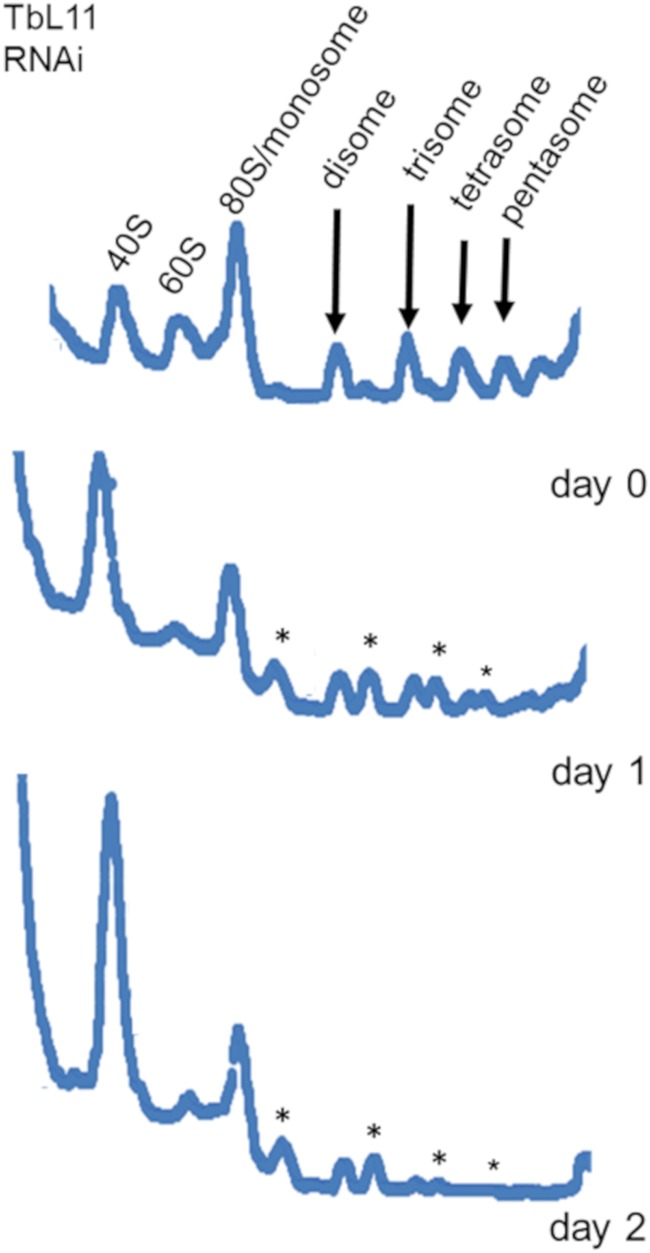 FIG 3