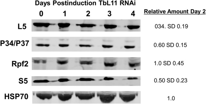 FIG 2