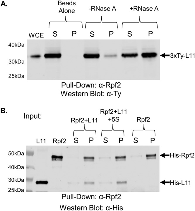 FIG 7