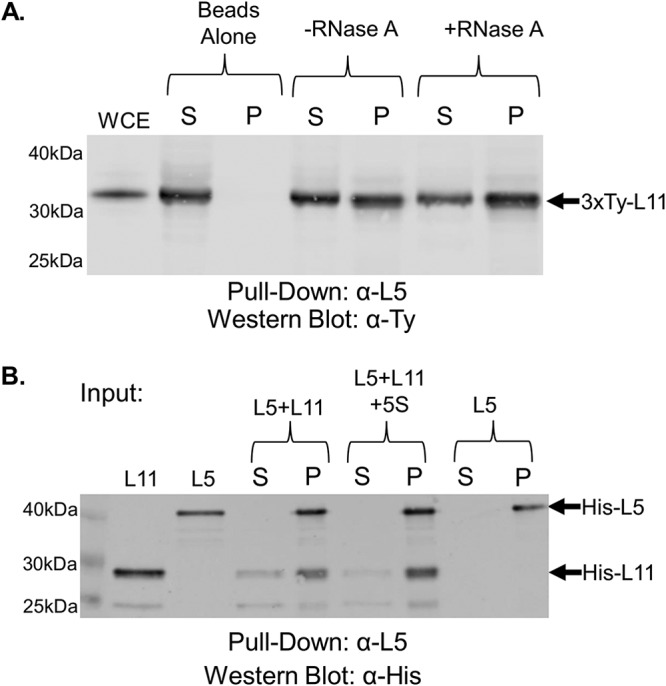 FIG 6