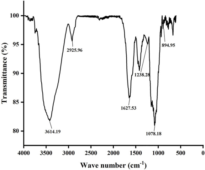 FIGURE 2