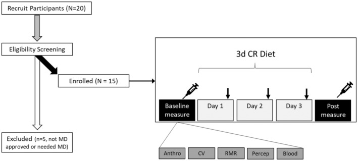 FIGURE 1