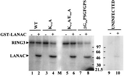 FIG. 6