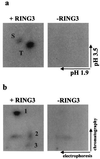 FIG. 5