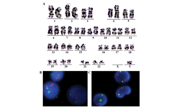 Figure 10.