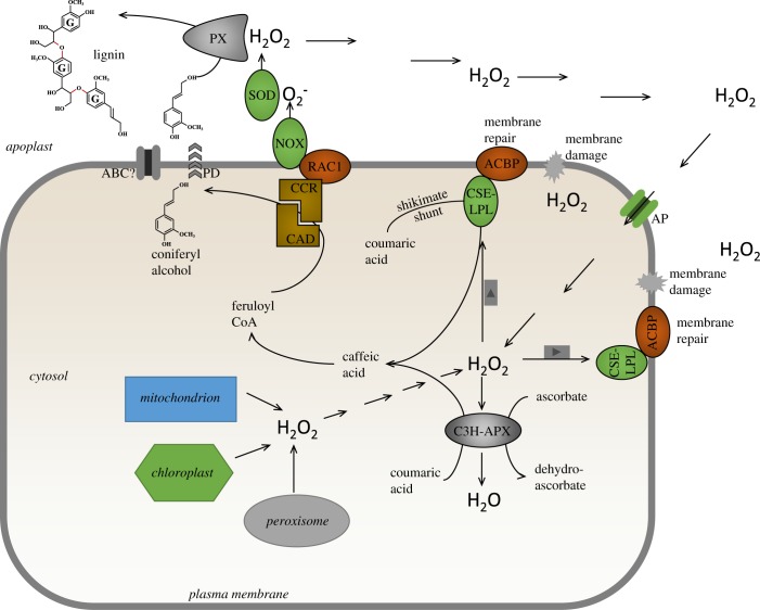 Figure 4.