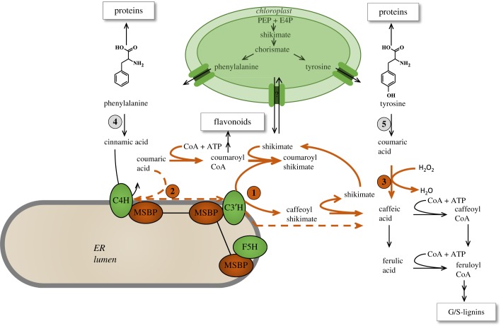 Figure 3.