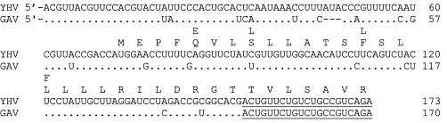 Fig 14