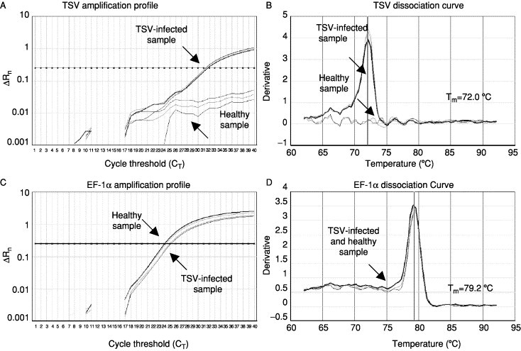 Fig 11