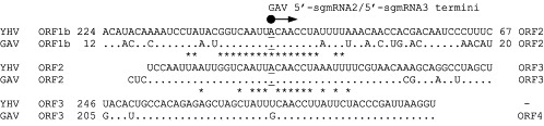 Fig 18