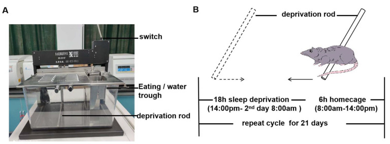 Fig. 1