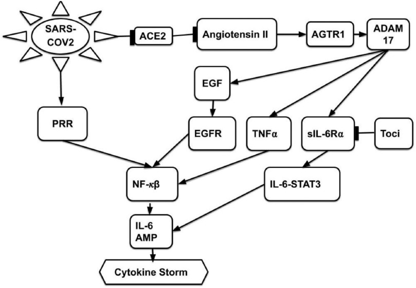 Fig. 8.