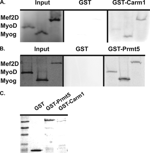 FIG. 7.