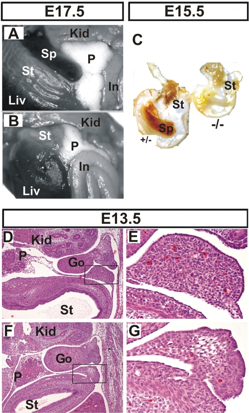 FIG. 7.