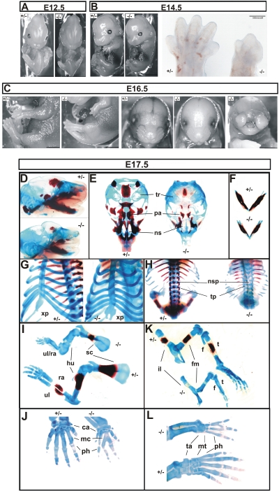 FIG. 6.