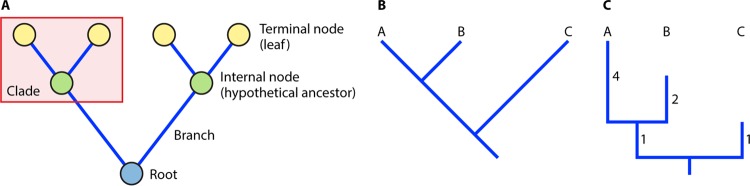 FIG 4